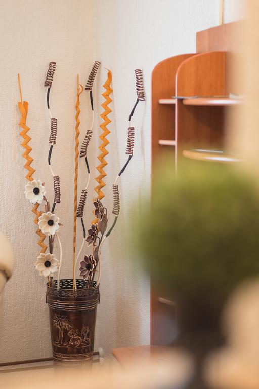 Apartmant & Room Bruna Drežnik Grad Exteriér fotografie